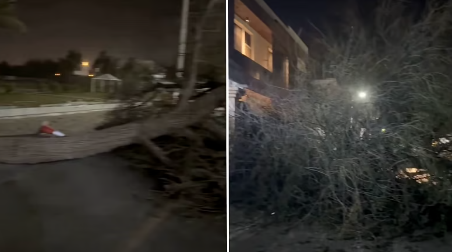 阿联酋今天狂风大作，沙迦一地大树被连根拔起