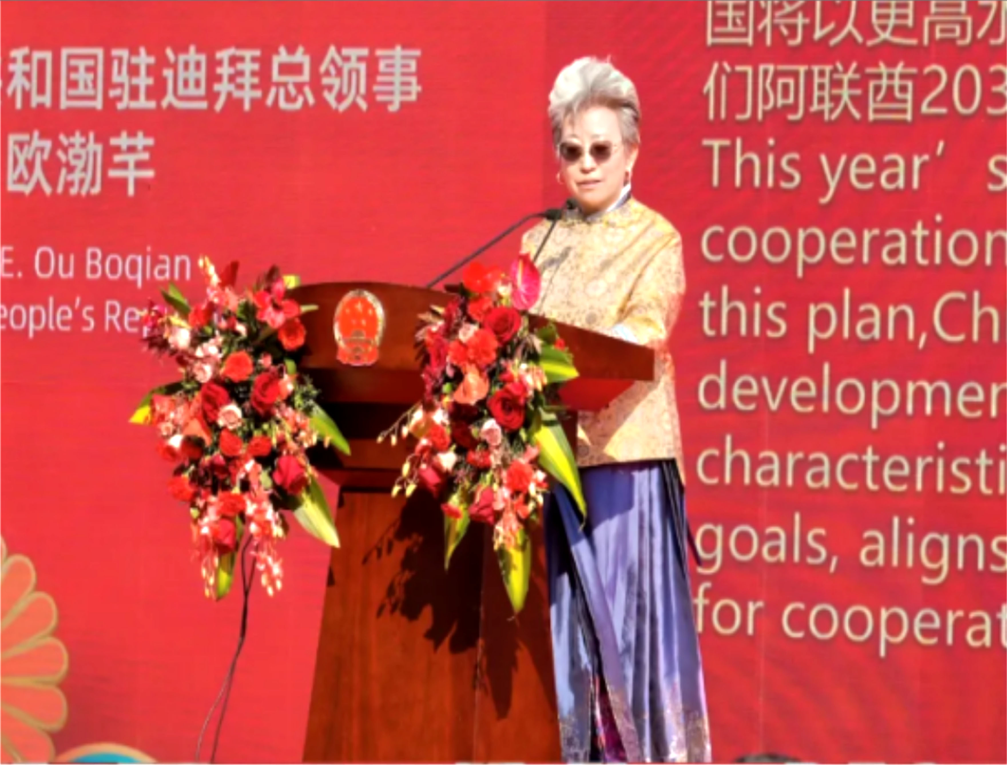 阿联酋海南商会暨同乡会参加迪拜“欢乐春节”大巡游活...