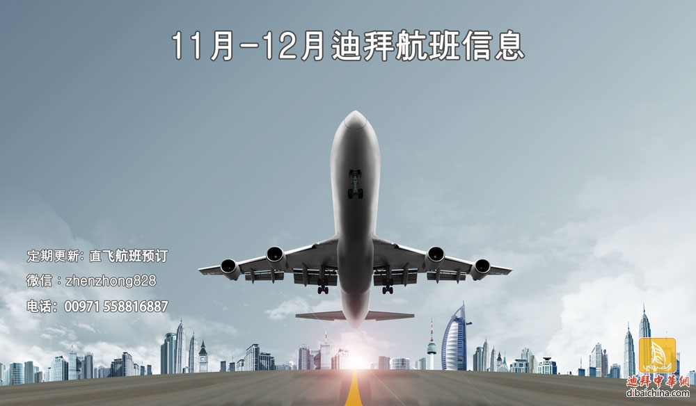 11月至12月迪拜航班信息更新，别问啦！这航线铁飞！