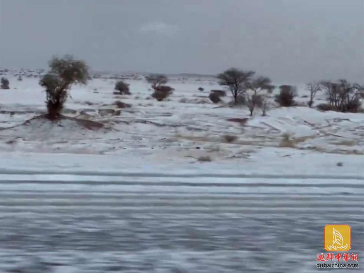 Saudi-Arabia--Afif-desert-experiences-rare-snowfall-after-unexpected-rain-and-ha.jpg