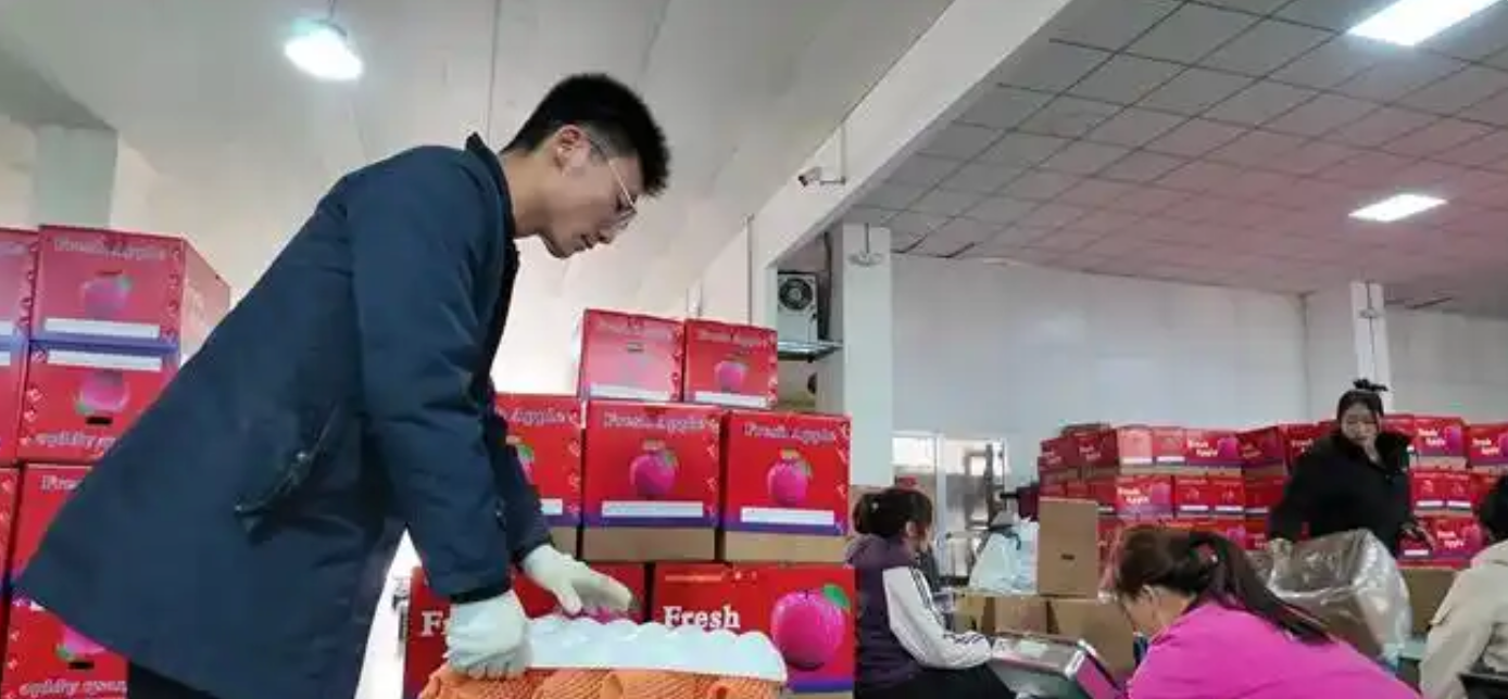 20多吨！静宁苹果首次出口迪拜