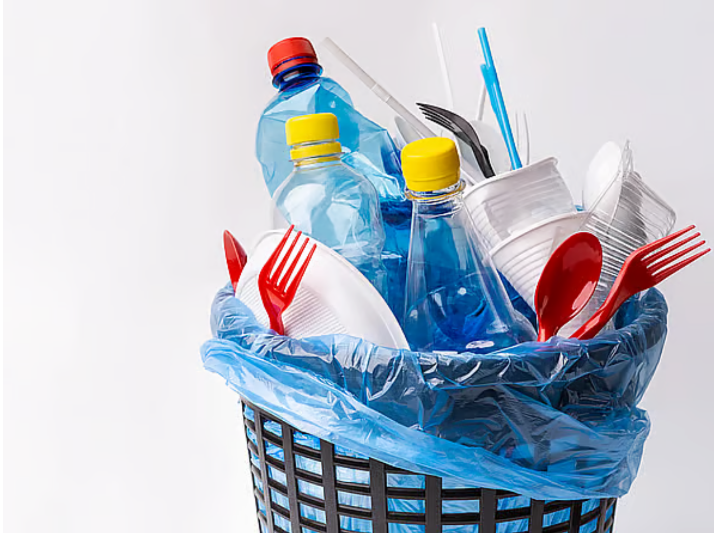 阿联酋扩大一次性塑料禁令范围 2026年1月1日正式生效