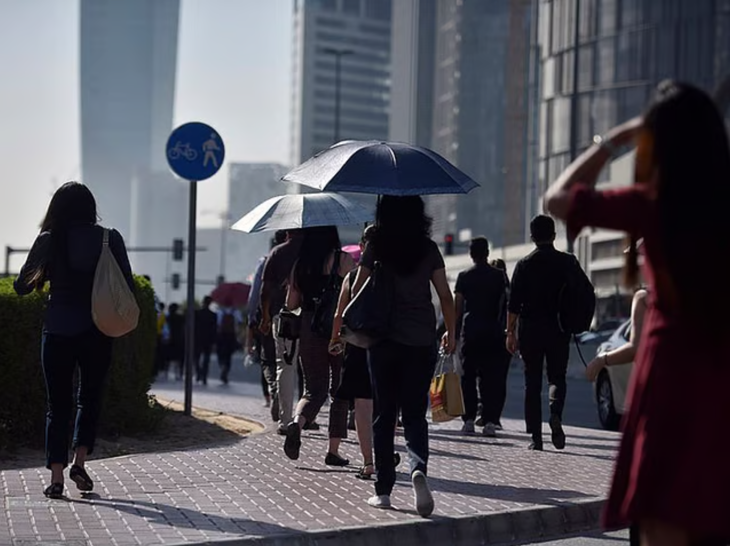 无官方工作许可者不得合法就业，了解阿联酋现行12种就业...