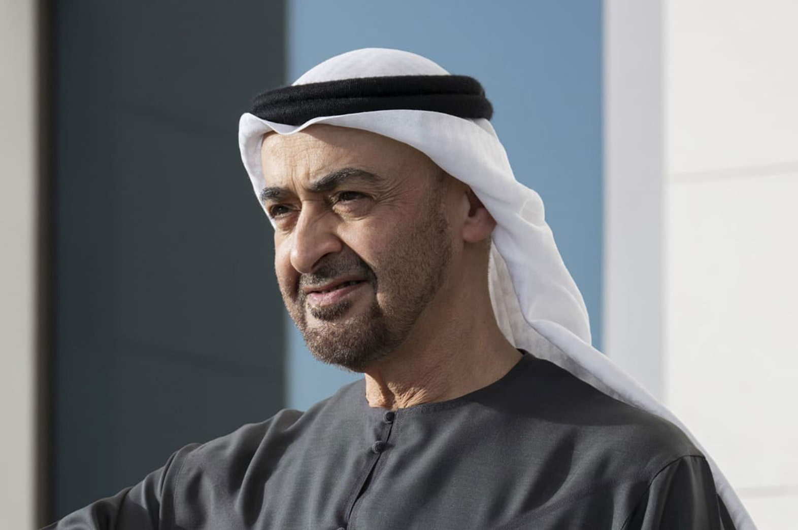 阿联酋总统取消访问日本行程