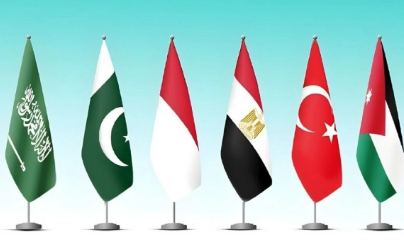 约旦、阿联酋、印尼、巴基斯坦、土耳其、沙特、卡塔尔...