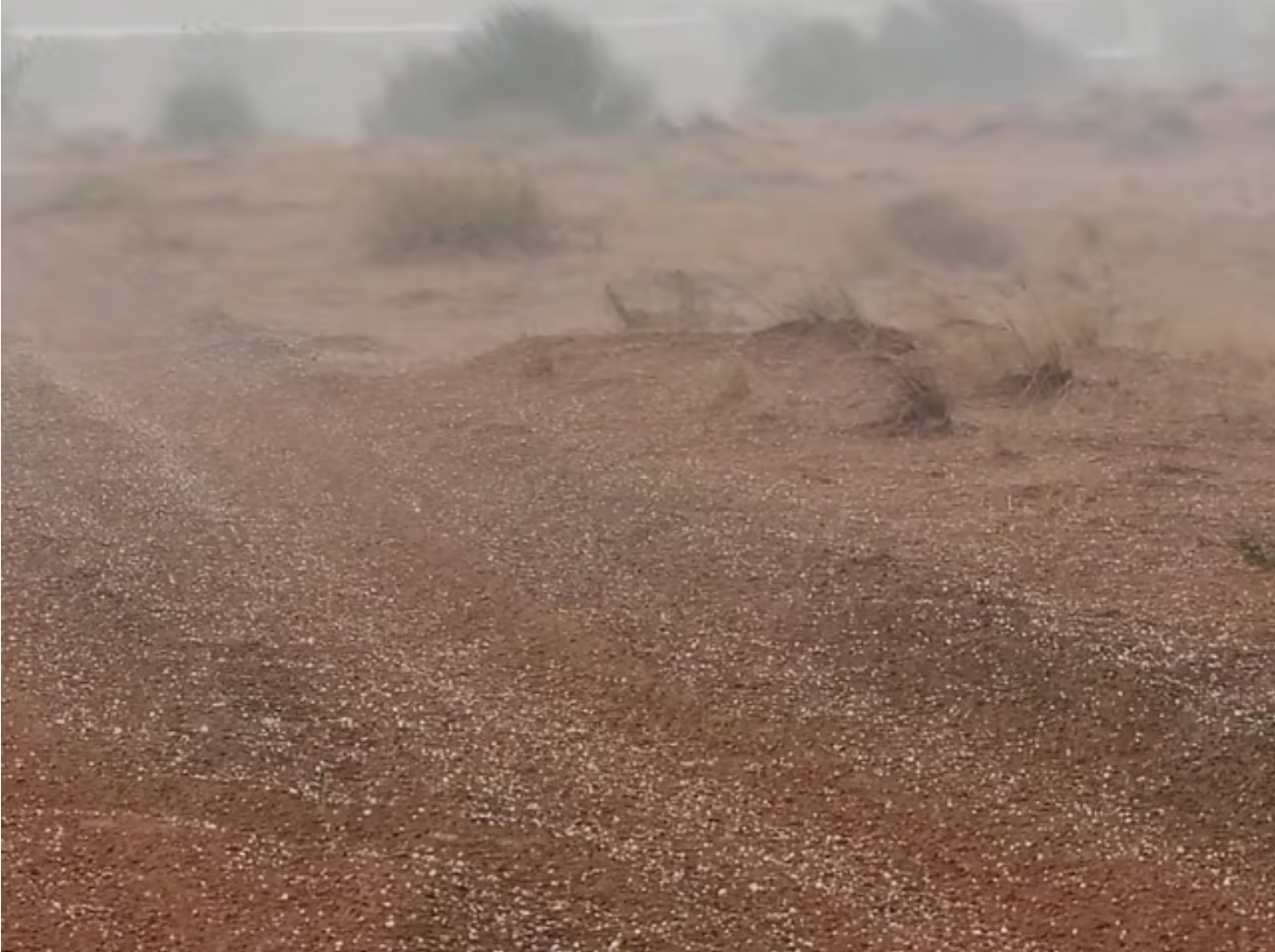 阿联酋今天再次出现强降雨和冰雹，不稳定天气还在继续